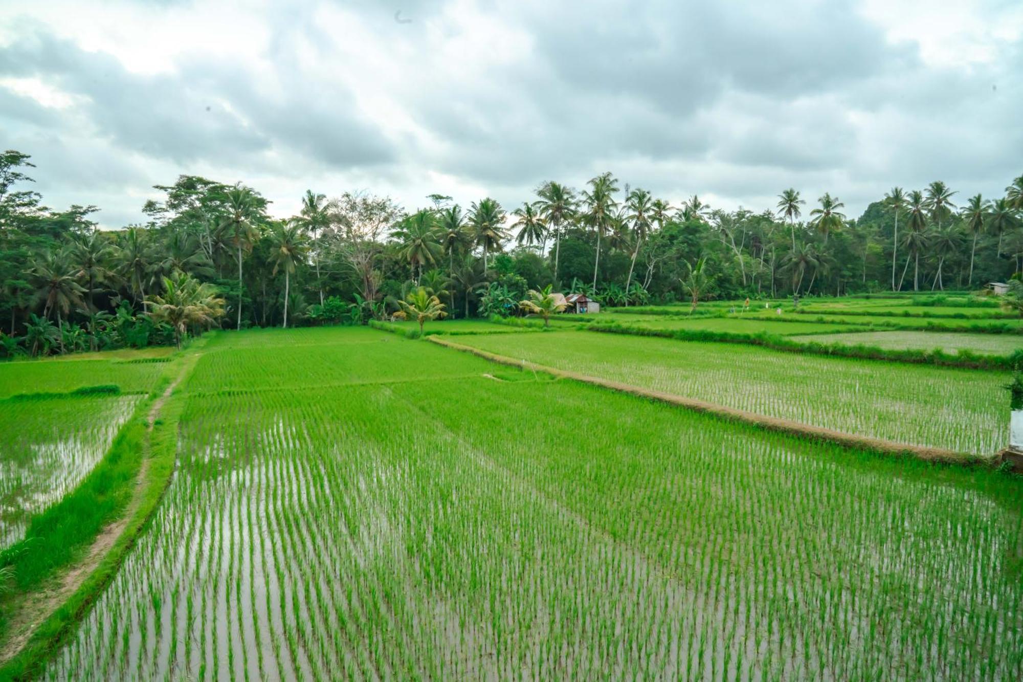Tulus Hati Ubud Retreat 외부 사진